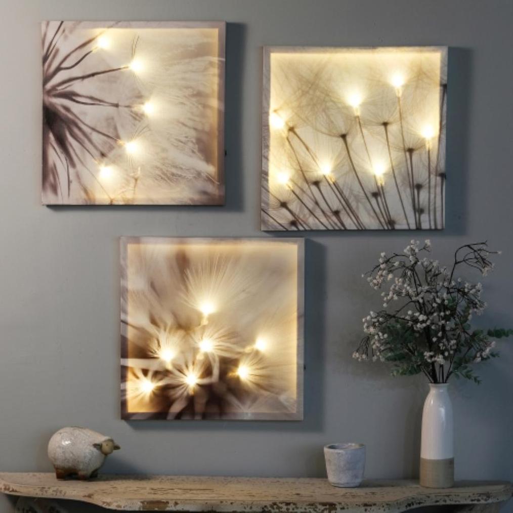 Set Of 3 Dandelion Prints With Led Lights Wall Art
